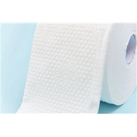 Sanitary Wipes